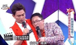 娱乐圈导演爆料,揭秘明星幕后真相与心酸历程